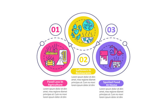 Food Waste Sorts Vector Infographic: Visualizing Sustainability Workflows