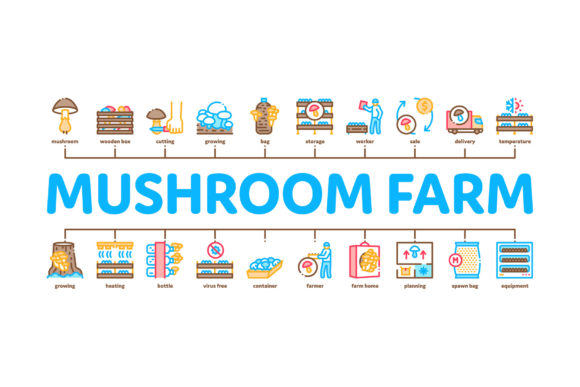 Visualizing Fungi Cultivation: The Role of the Mushroom Farm Plant Minimal Infographic in Modern Agriculture